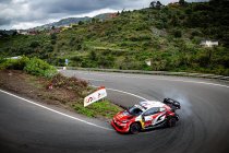 Islas Canarias: Toyota leidt, Hyundai monddood