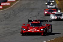 Petit Le Mans: volle grid voor de finale van het IMSA