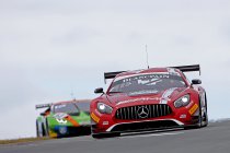 Hungaroring: Marciello en Abril winnen - Dubbel voor Mercedes