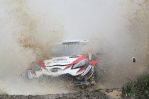 Australië: Neuville boekt winst - Tänak naar de kop