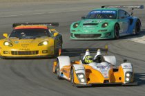 Ook Renger van der Zande naar Starworks Motorsport